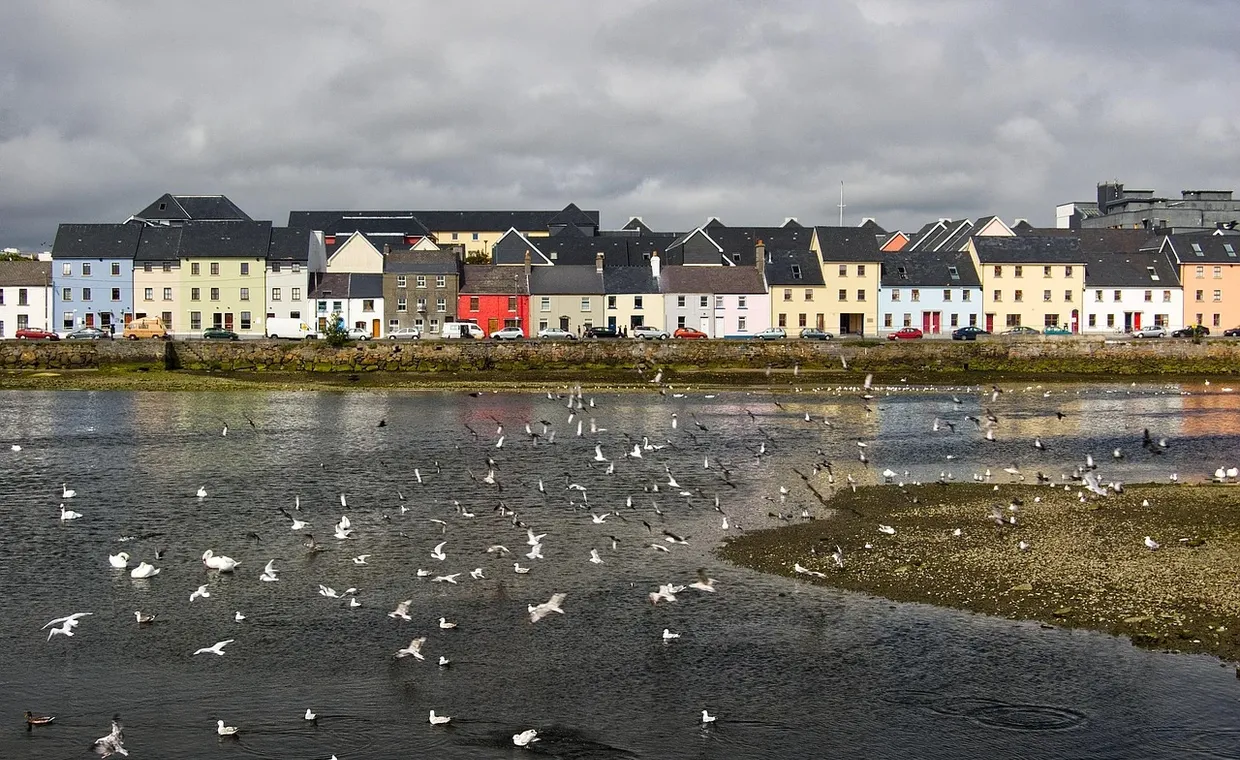 Pagecrafted Affordable websites Galway - Children's Tree Campaign