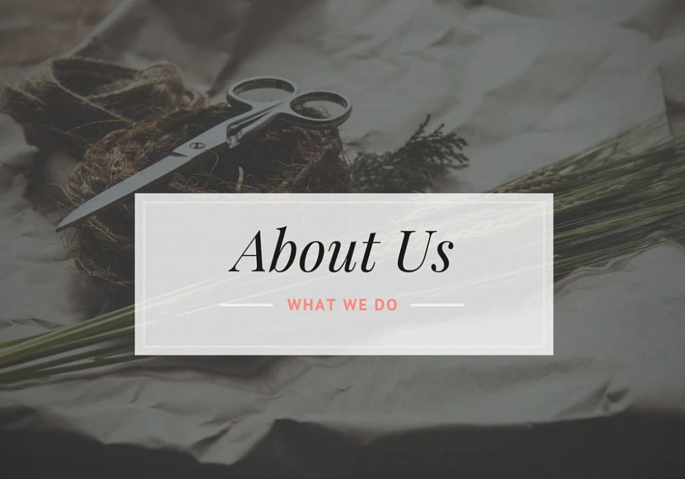 The importance of a good “About” page