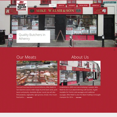 Mike Walsh & Son - Affordable website designed by Pagecrafted