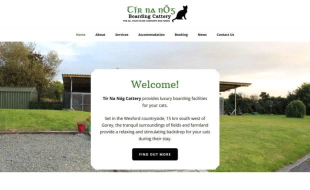 Tir na nOg cattery Homepage - Affordable website designed by Pagecrafted