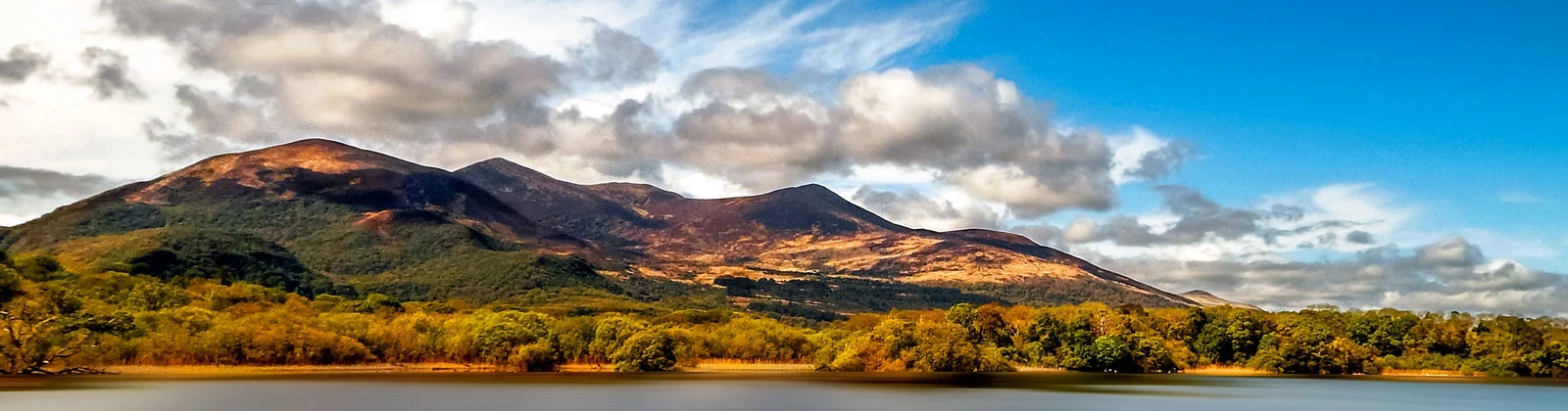 Pagecrafted | Affordable Websites Galway