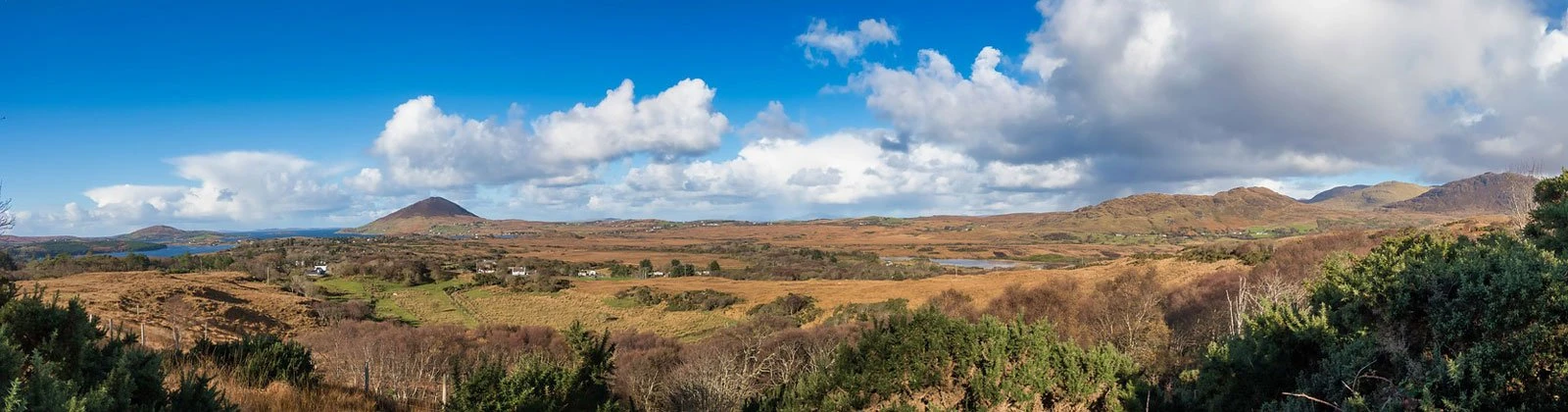 Pagecrafted | Affordable Websites Galway