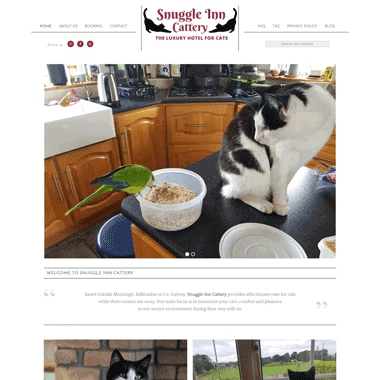 Snuggle Inn Cattery